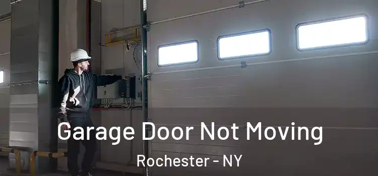 Garage Door Not Moving Rochester - NY