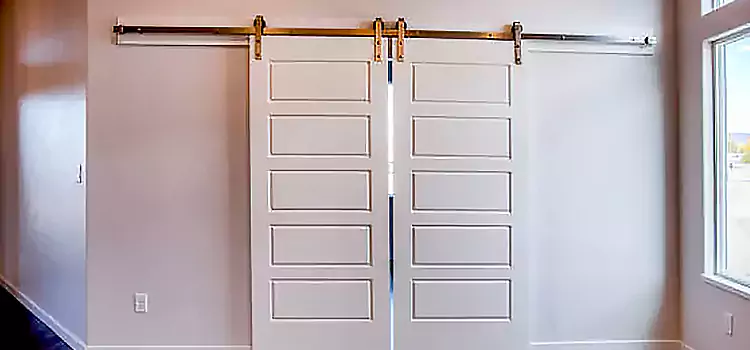Glass Barn Door with Installation Hardware Kit Rochester