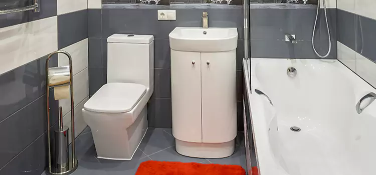 Hansgrohe Shaving Mirror Rochester