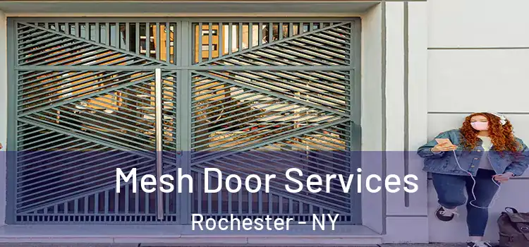  Mesh Door Services Rochester - NY